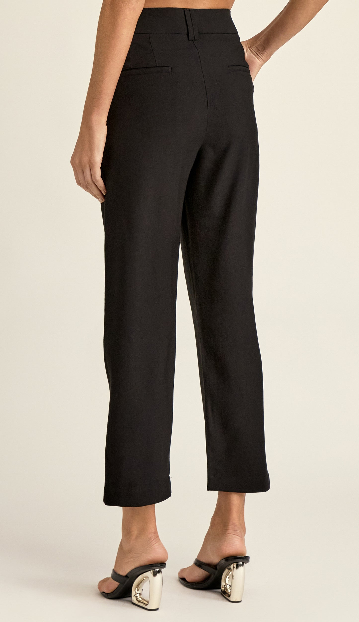 Calça Carrot Alfaiataria Carina | Laguna